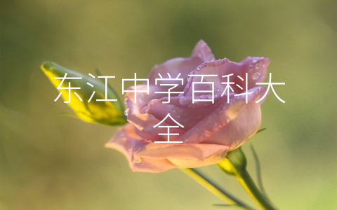 东江中学百科大全