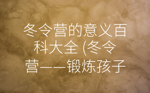 冬令营的意义百科大全 (冬令营——锻炼孩子多方面能力的全方位活动)