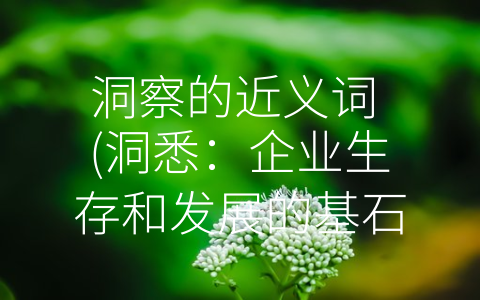 洞察的近义词 (洞悉：企业生存和发展的基石)