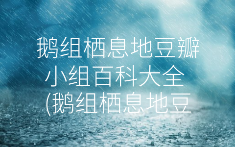 鹅组栖息地豆瓣小组百科大全 (鹅组栖息地豆瓣小组，共享鹅组知识与爱好！)