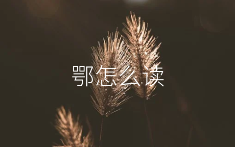 鄂怎么读