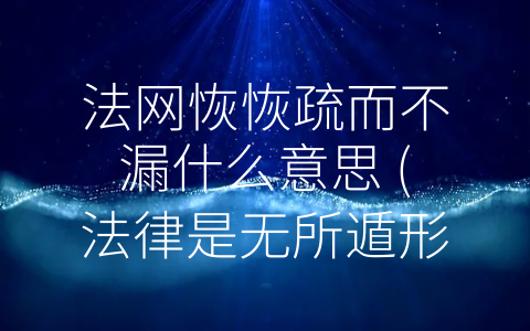 法网恢恢疏而不漏什么意思 (法律是无所遁形的庇护者)