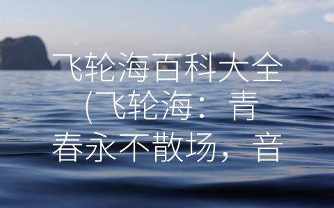 飞轮海百科大全 (飞轮海：青春永不散场，音乐不停歇)