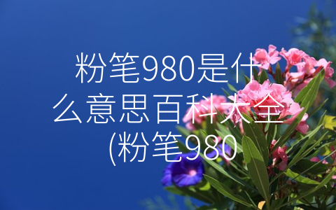 粉笔980是什么意思百科大全 (粉笔980：一支文具，多重应用)