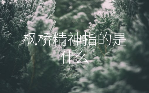 枫桥精神指的是什么