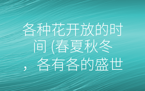 各种花开放的时间 (春夏秋冬，各有各的盛世花开)