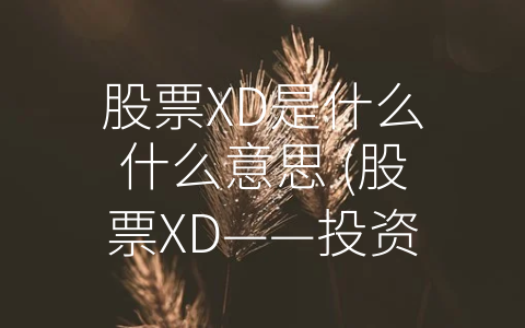 股票XD是什么什么意思 (股票XD——投资者不容忽视的关键点。)