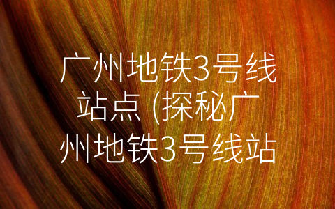 广州地铁3号线站点 (探秘广州地铁3号线站点：客流量与换乘网络的重要节点)