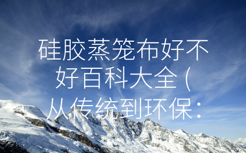 硅胶蒸笼布好不好百科大全 (从传统到环保：硅胶蒸笼布的发展历程)