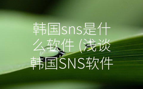 韩国sns是什么软件 (浅谈韩国SNS软件)