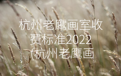 杭州老鹰画室收费标准2022 (杭州老鹰画室收费标准2022：打造艺术梦想的平台)