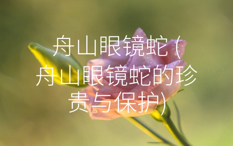 舟山眼镜蛇 (舟山眼镜蛇的珍贵与保护)