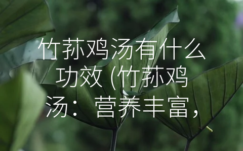 竹荪鸡汤有什么功效 (竹荪鸡汤：营养丰富，滋味鲜美，好处多多！)