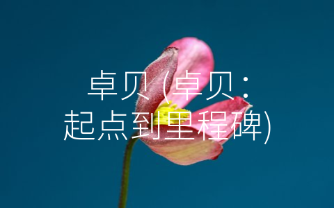 卓贝 (卓贝：起点到里程碑)