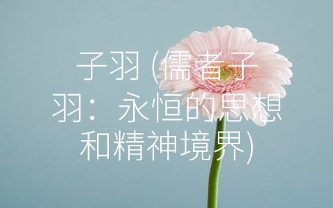 子羽 (儒者子羽：永恒的思想和精神境界)