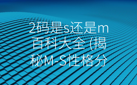 2码是s还是m百科大全 (揭秘M-S性格分析的全面应用)