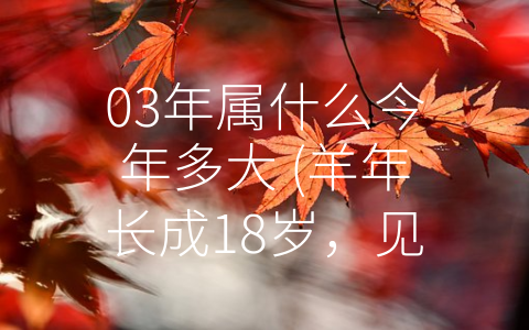 03年属什么今年多大 (羊年长成18岁，见证中国18年的变迁和成就)