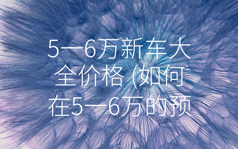 5一6万新车大全价格 (如何在5一6万的预算内买到适合的汽车？)