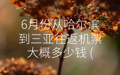 6月份从哈尔滨到三亚往返机票大概多少钱 (如何省钱又不影响旅行体验？看这篇文章就够了！)