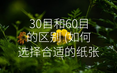 30目和60目的区别 (如何选择合适的纸张规格？)