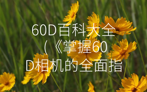 60D百科大全 (《掌握60D相机的全面指南：基础知识到高级技巧》)