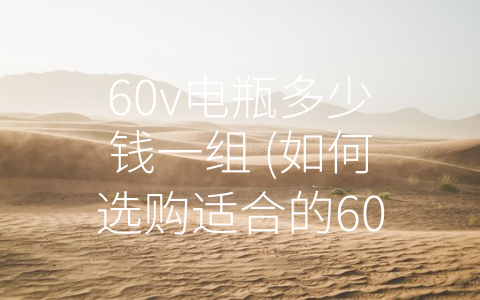 60v电瓶多少钱一组 (如何选购适合的60V电瓶？)