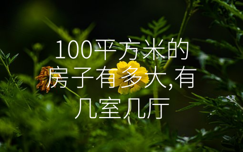 100平方米的房子有多大,有几室几厅