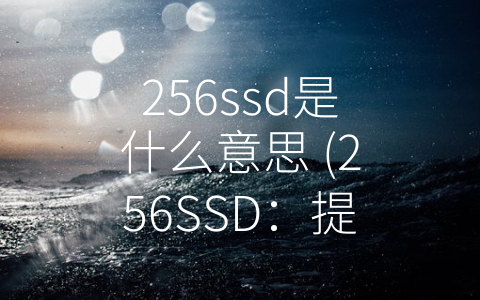 256ssd是什么意思 (256SSD：提高计算机效率的关键)