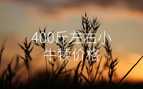 400斤左右小牛犊价格