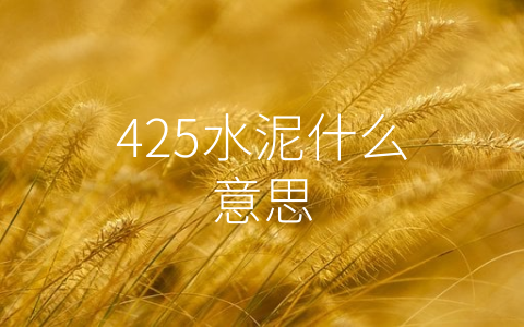 425水泥什么意思