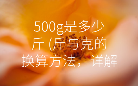 500g是多少斤 (斤与克的换算方法，详解-500g是多少斤”)