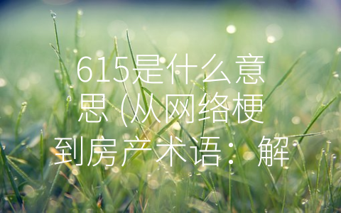 615是什么意思 (从网络梗到房产术语：解读615的多重含义)