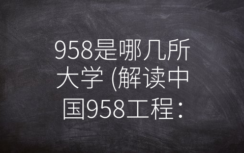 958是哪几所大学 (解读中国958工程：高校精英化建设计划的成果与意义。)