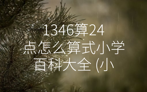 1346算24点怎么算式小学百科大全 (小学生必学，掌握《1346算24点怎么算式小学百科大全》中的方法和技巧。)