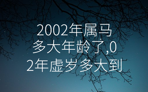 2002年属马多大年龄了,02年虚岁多大到2022年