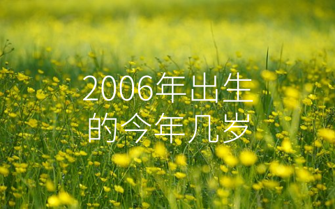 2006年出生的今年几岁