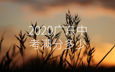 2020广东中考满分多少