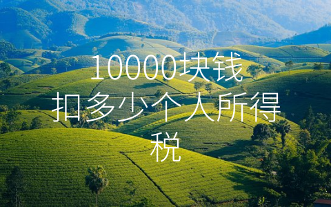 10000块钱扣多少个人所得税