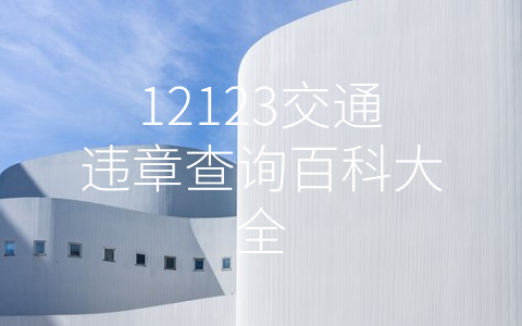 12123交通违章查询百科大全