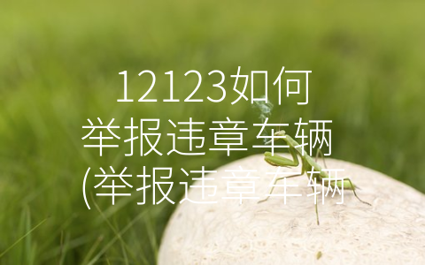 12123如何举报违章车辆 (举报违章车辆，维护交通秩序)