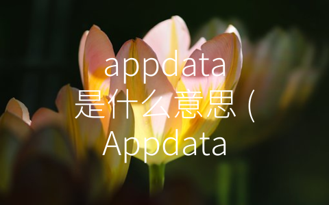 appdata是什么意思 (Appdata文件到底藏在哪里？)