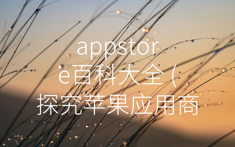 appstore百科大全 (探究苹果应用商店的历史、功能与未来)