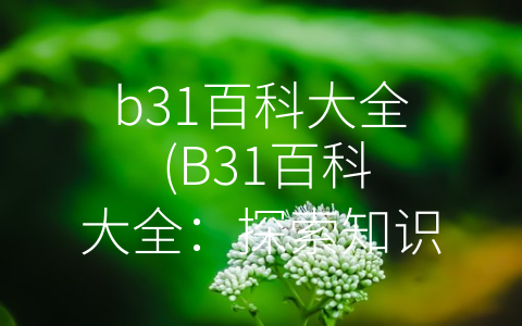 b31百科大全 (B31百科大全：探索知识的无限可能)