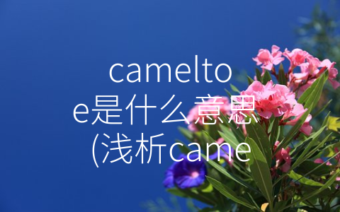 cameltoe是什么意思 (浅析cameltoe在时尚界的具体含义)