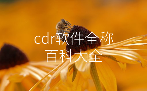 cdr软件全称百科大全