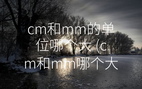 cm和mm的单位哪个大 (cm和mm哪个大？一文告诉你答案)