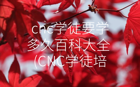 cnc学徒要学多久百科大全 (CNC学徒培训需要掌握的知识和技能全解析)