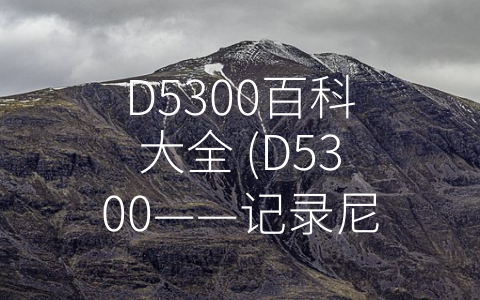 D5300百科大全 (D5300——记录尼康旗舰入门单反的卓越之处)