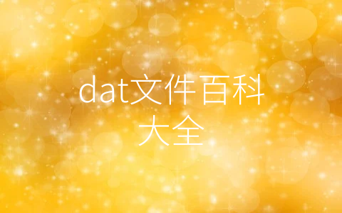 dat文件百科大全