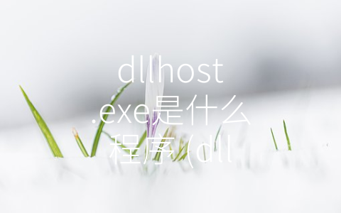 dllhost.exe是什么程序 (dllhost.exe：Windows操作系统中的动态链接库宿主进程)